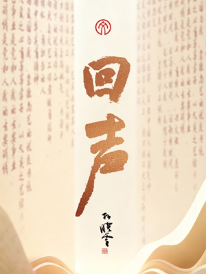 《回声》:书信的温度,在荧屏上激起情感的共鸣